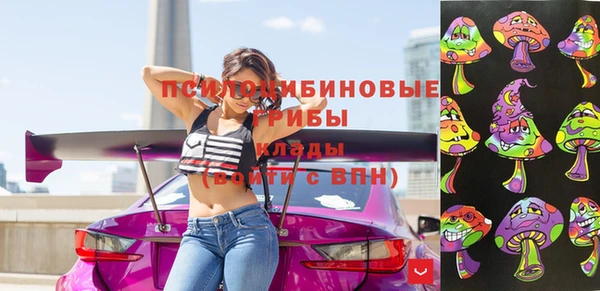 apvp Бородино
