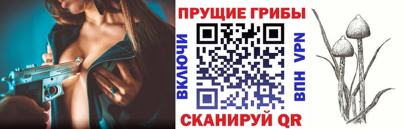 Галлюциногенные грибы Magic Shrooms  хочу наркоту  Барабинск 